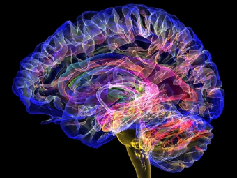 欧美黑大屌夜店乱操视频在线大脑植入物有助于严重头部损伤恢复